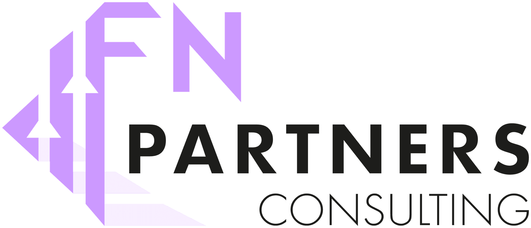 FN Partners Consulting